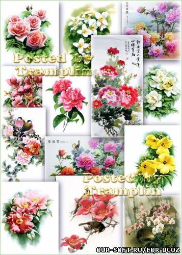 Цветы из китайской живописи