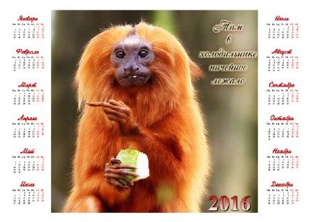 Календарь на 2016 год - Прикольная обезьянка с фруктом