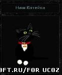 Коте для вашего сайта