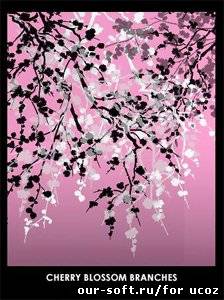 Кисти для Photoshop - Cherry blossom branches by isuckbuthellirock