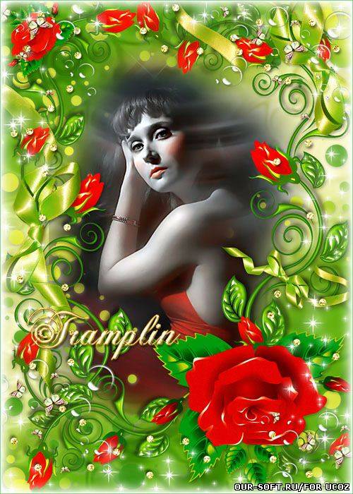 Рамка для фото с розами – Ты как шёпот бархатной розы