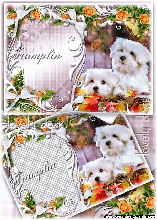 Рамка для фото с собачками -  Все, что есть у той Собачки, - Все  Сплошная Красота