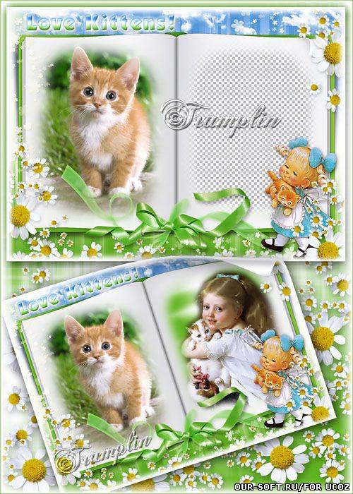 Рамка с котенком -  Ах, этот милый-милый проказник, мне подарил удивительный праздник