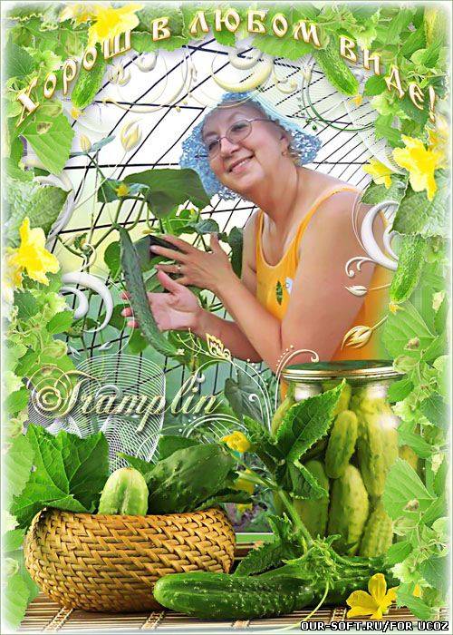 Летняя фоторамка – Я – зелёный огурец, Витаминный удалец