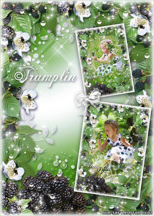 Летняя ягодная рамка для фото с ежевикой – Её сизые бока – Как густые облака