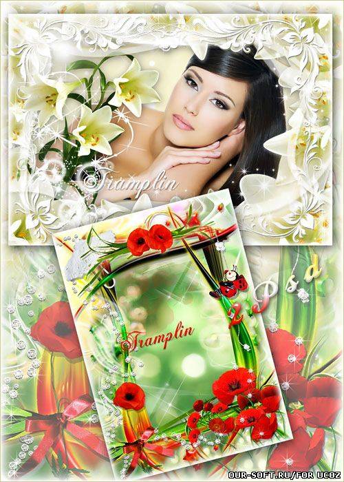 Две цветочные рамки для ваших фото – Маки и лилии