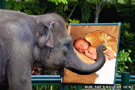 Рамка для фото - слон-художник