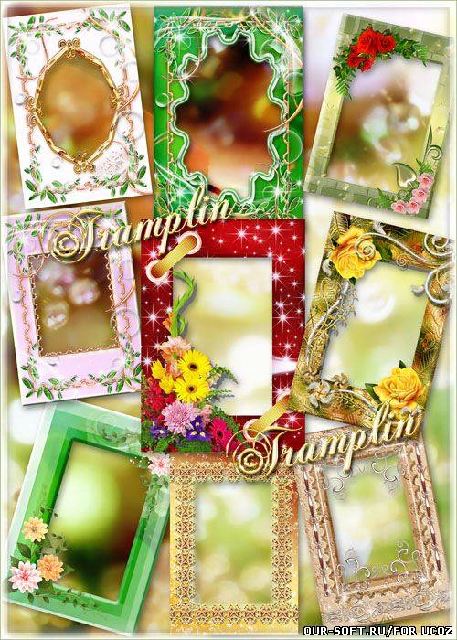 Сборник цветочных рамок  – Земные звезды – Разноцветные цветы