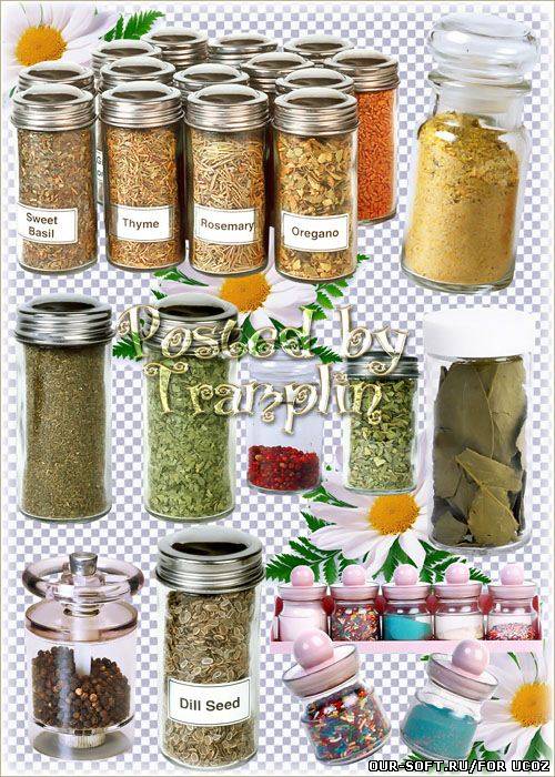 Приправы в баночках – клипарт на прозрачном фоне в Png