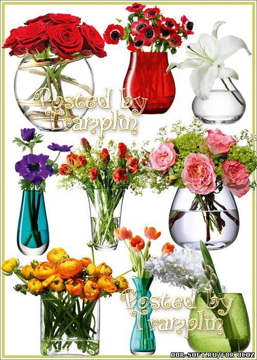 Клипарт – Цветы в вазах