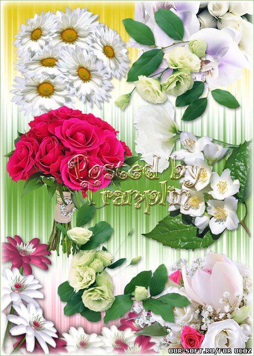 Цветы на прозрачном фоне – клипарт Png