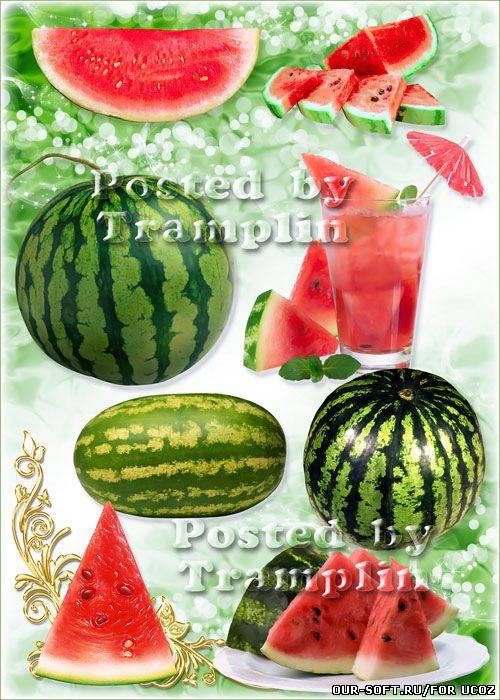 Арбузы – клипарт на прозрачном фоне в Png