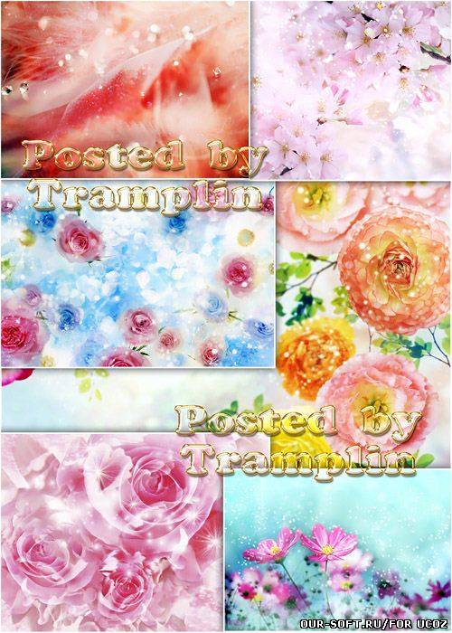 Фоны с цветами и блестками алмазов