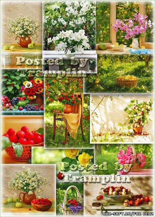 Клипарт – Цветы, яблоки, яблоневый цвет