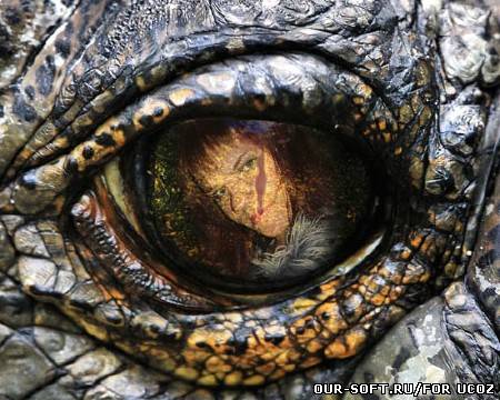 Рамочка для фото - глаз крокодила