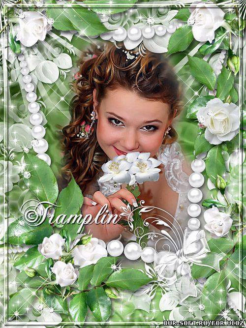 Рамка для фото с белыми розами – Словно слёзы невинные лепестки белоснежные