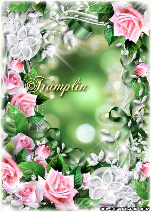 Рамка для фото с розами – Они подобны ангелам крылатым