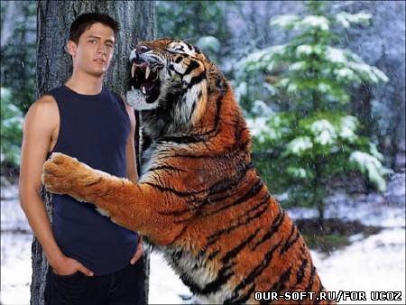 Рамка для фото - в объятиях тигра