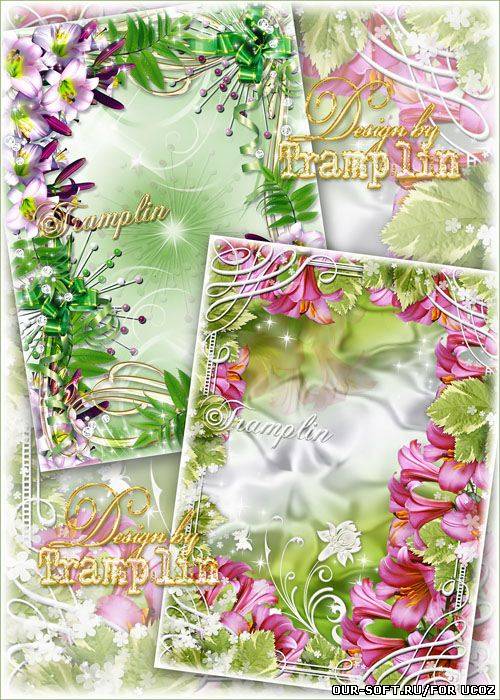 Две Цветочные рамки для фото – Лилии Прекрасные цветы