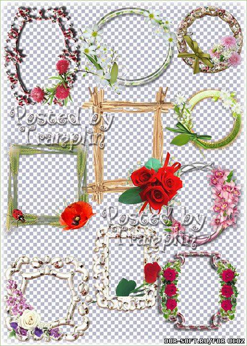 Красивые цветочные рамки - вырезы для оформления виньеток