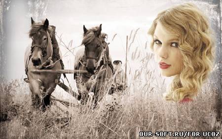 Рамка для фотошопа - лошади в поле