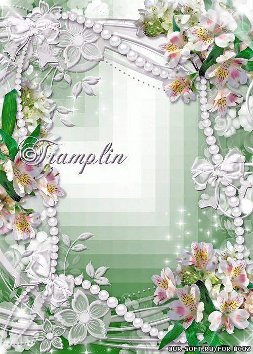 Рамка для фото с Орхидеями – Радостное волнение