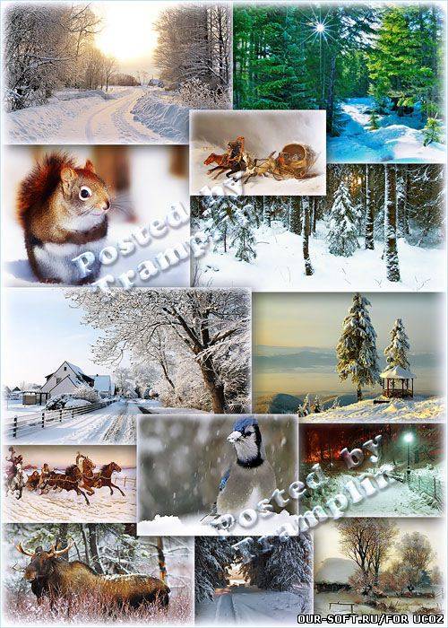 Красивые зимние пейзажи – Снега зимы покрыли холмы