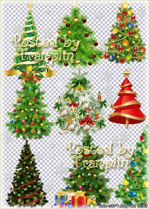 Новогодний клипарт - Елки