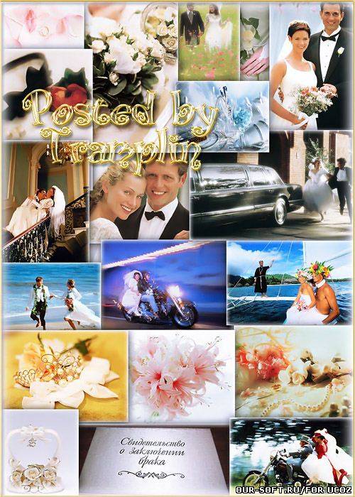 Свадебный клипарт