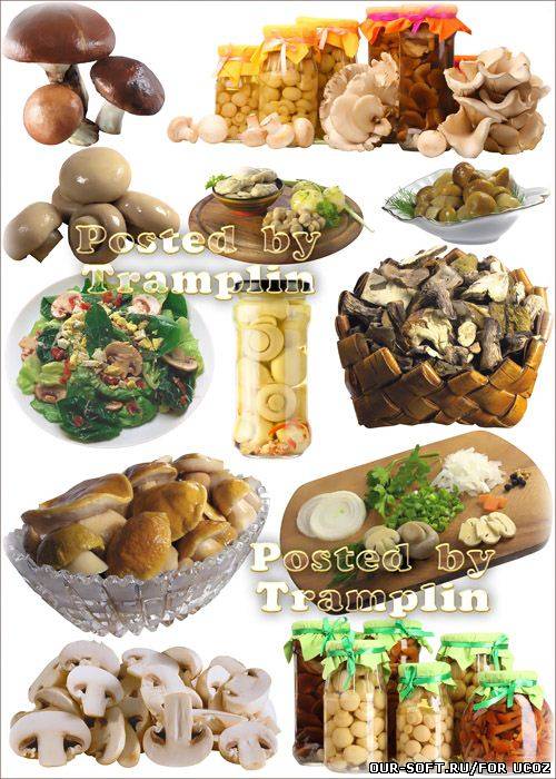 Грибы и Блюда из грибов - Клипарт на белом фоне