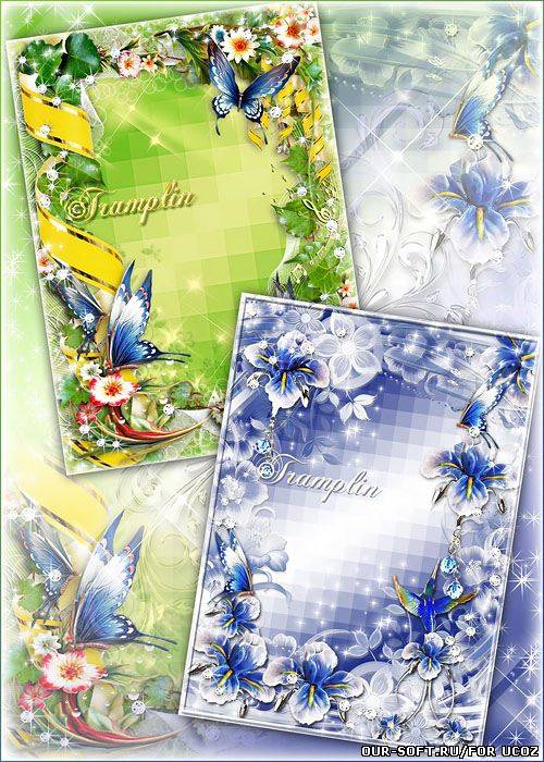 2 рамки с Цветами и Бабочками - Из тени в свет перелетая