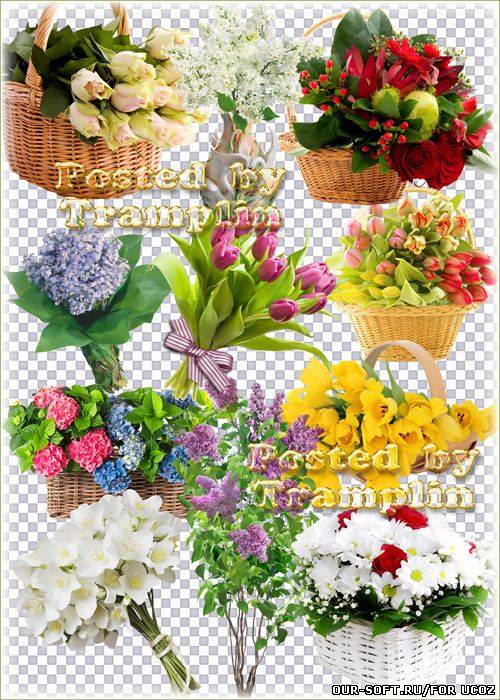Букеты цветов – Клипарт на прозрачном фоне