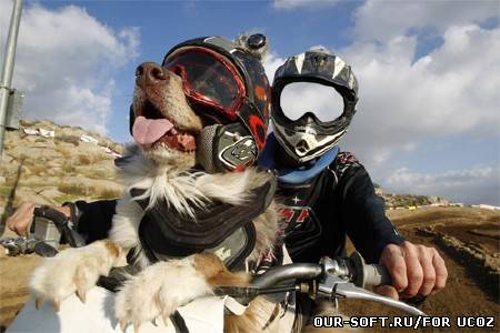 Шаблон для фотомонтажа - мотоциклист выгуливает собаку