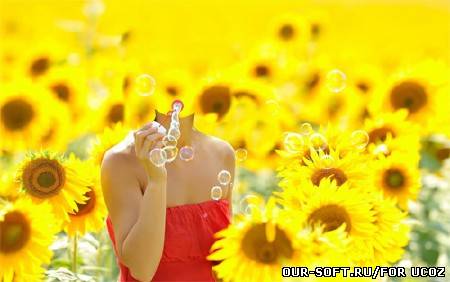 Девушка в подсолнухах - шаблон для фотошопа