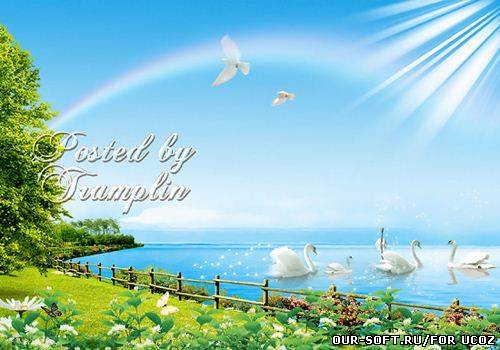 Psd исходник – Белые лебеди