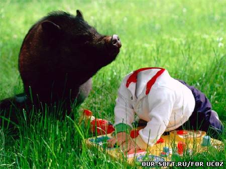 Шаблон psd - знакомство с природой