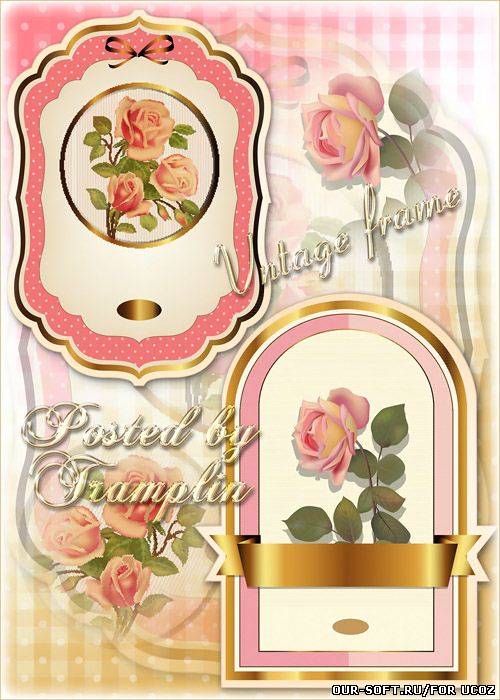 Исходники винтажных рамок с розами и золотым обрамлением, лентой и бантиком
