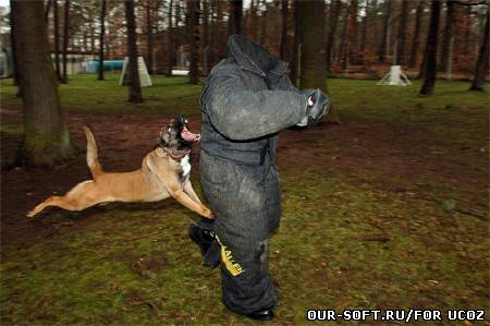 Шаблон для photoshop - Дрессировщик и злая собака