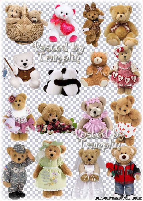Большая коллекция клипарта в Png – Мягкие игрушки Медведи