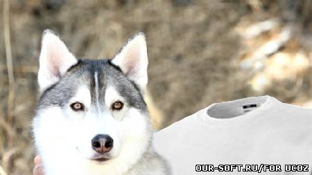 PSD шаблон - Фото с серьезным хищником