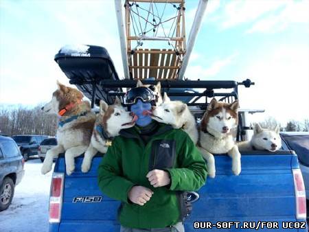 Шаблон для фотошопа - С любимыми пушистыми хасками