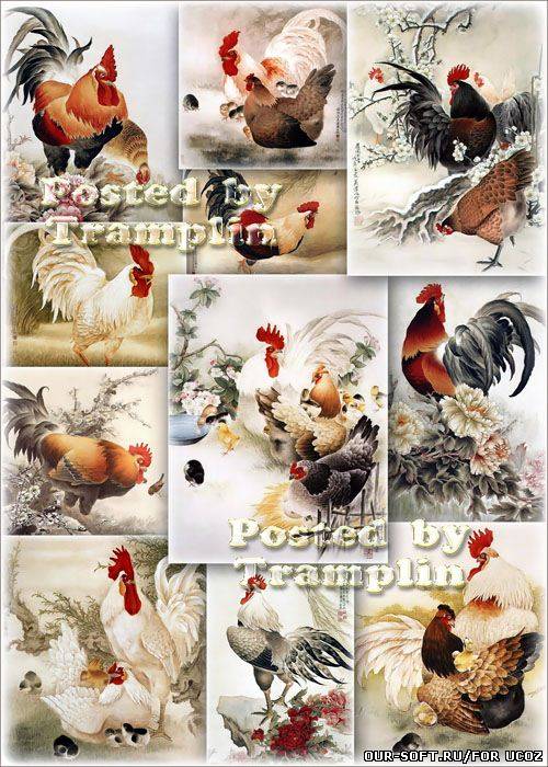 Китайская живопись – Петухи, куры, цыплята