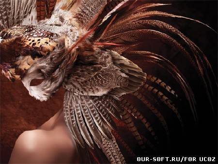 Маска из перьев - женский шаблон