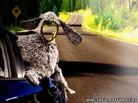 Мужской шаблон-путешествие с овцой