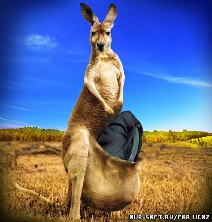 Мужской шаблон - вместо машины