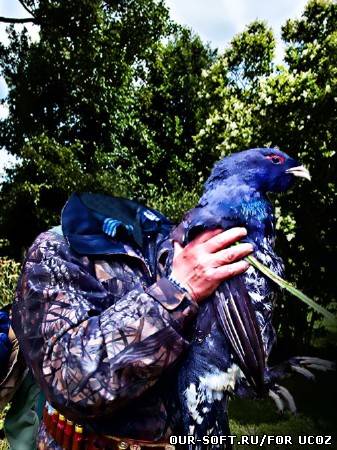 Мужской шаблон - на охоте с орлом