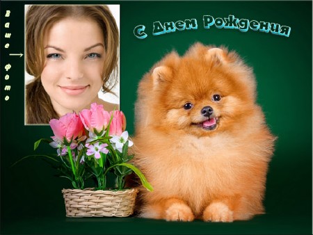 Фоторамка psd - Пушистый щенок с цветами