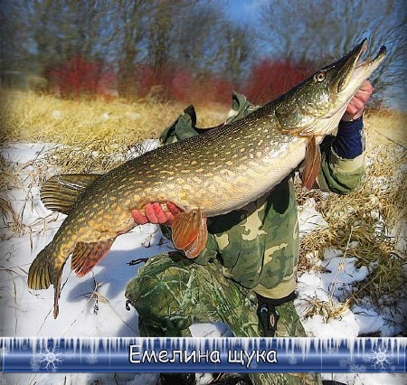 Прикольный мужской фотошаблон для photoshop - Емелина щука