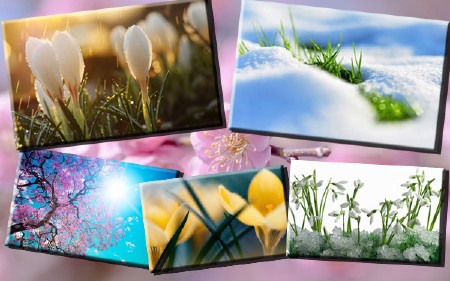 Клипарт растровый - Цветы весной