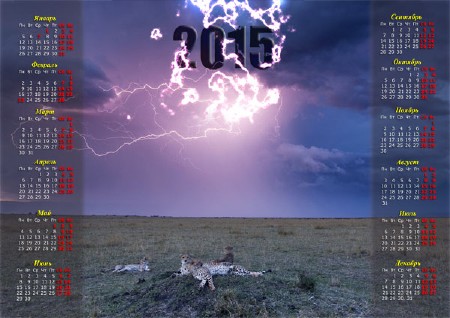 Календарь настенный - Яркие молнии в поле